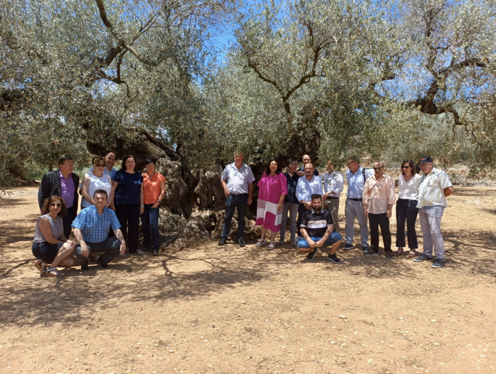 Group photo at the Olive Tree