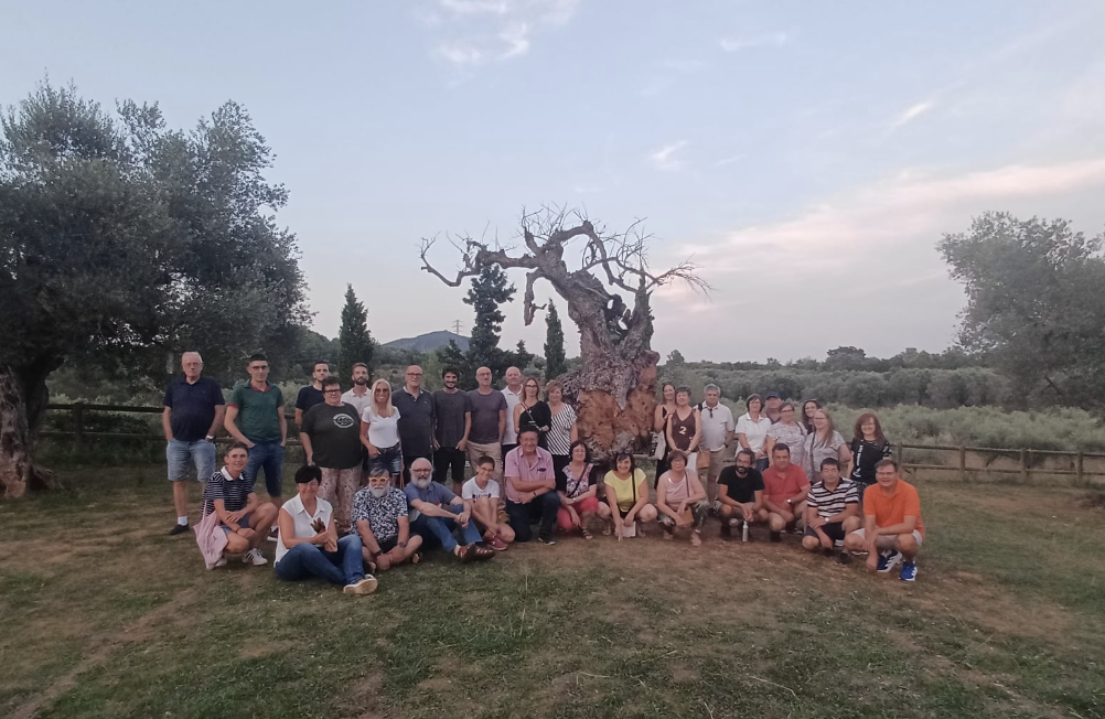 New life for the Dead Millennial Olive Tree of La Jana ( 2/8/2025 )