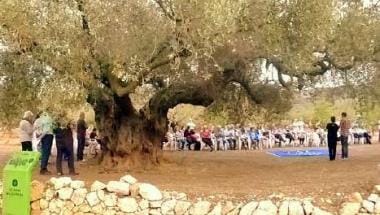Àrea de Godall