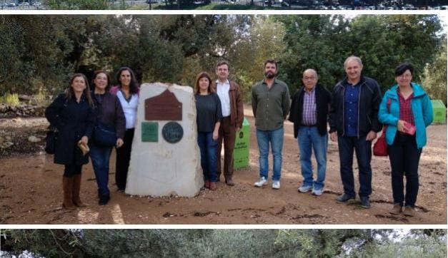 Oliveres Mil•lenàries Territori Sénia, Patrimoni Agrícola mundial de la FAO