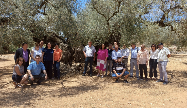 Group photo at the Olive Tree