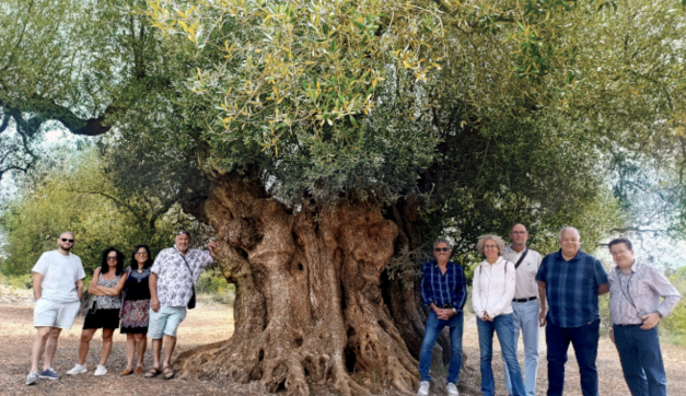 Group photo with the Millenary Olive Tree