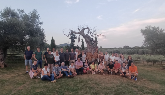 New life for the Dead Millennial Olive Tree of La Jana ( 2/8/2025 )